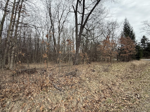 0 Budd Rd, Stockbridge, MI 49285