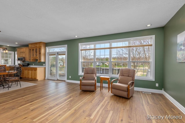 7174 Loma Linda Dr, Rockford, MI 49341 - sitting room featuring light wood-type flooring, baseboards, plenty of natural light, a textured ceiling, and recessed lighting