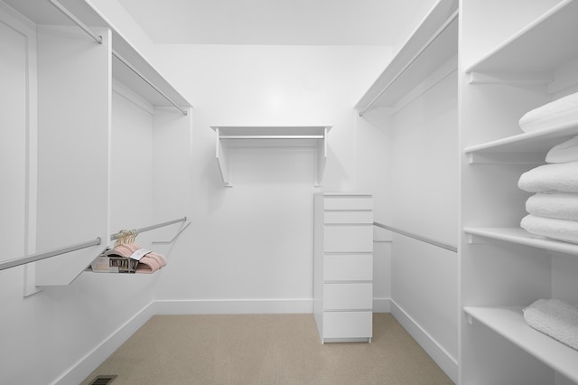 spacious closet with light colored carpet