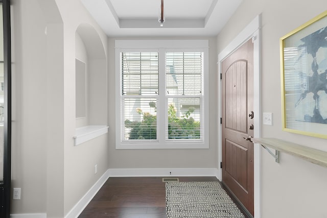 entrance foyer featuring dark wood-style flooring, baseboards, a wealth of natural light, and a raised ceiling