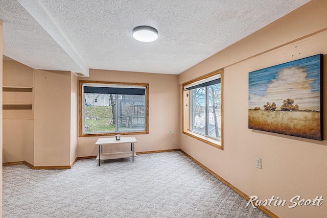 7229 Bordeau Dr NE, Belding, MI 48809 - interior space featuring baseboards, a textured ceiling, and carpet flooring