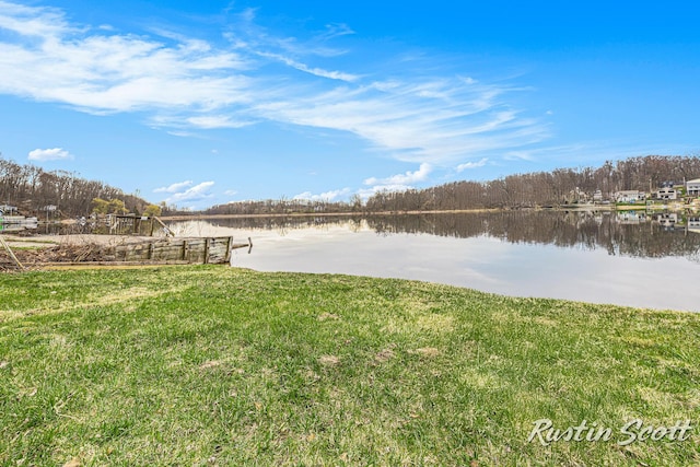 7229 Bordeau Dr NE, Belding, MI 48809 - dock area featuring a yard and a water view