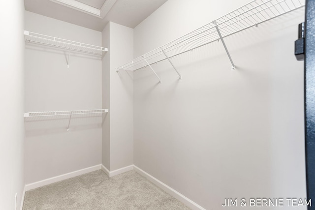 walk in closet featuring carpet floors