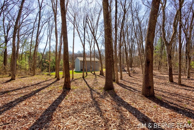 view of yard with an outdoor structure and a storage shed