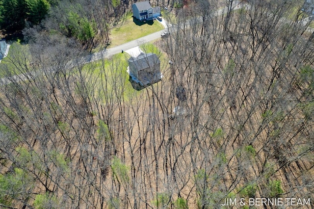 bird's eye view