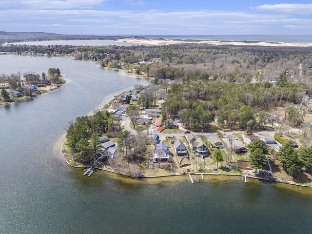 8010 Lumberjack Dr, Mears, MI 49436 - photo 42