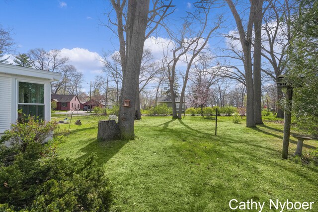 2233 Mills Ave, Muskegon, MI 49445 - view of yard