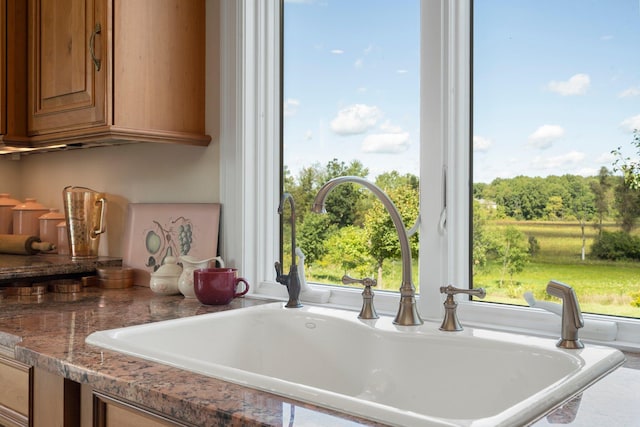 1280 Sylvan Rd, Chelsea, MI 48118 - details featuring a sink and brown cabinets