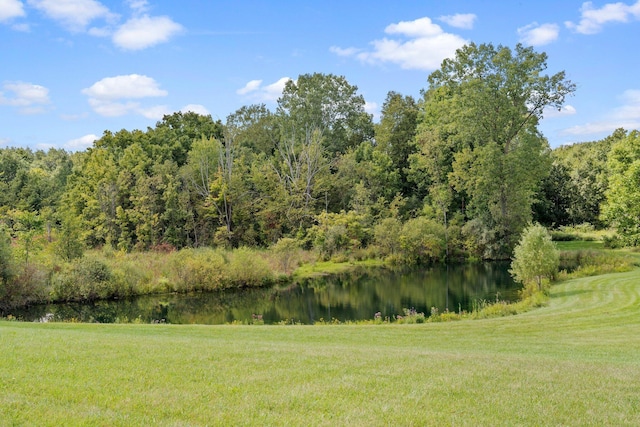 1280 Sylvan Rd, Chelsea, MI 48118 - water view with a forest view