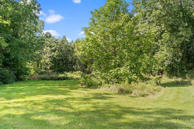 1280 Sylvan Rd, Chelsea, MI 48118 - view of yard featuring a wooded view