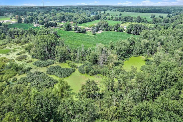 0 Maplegrove Rd, Jackson, MI 49201 - photo 2