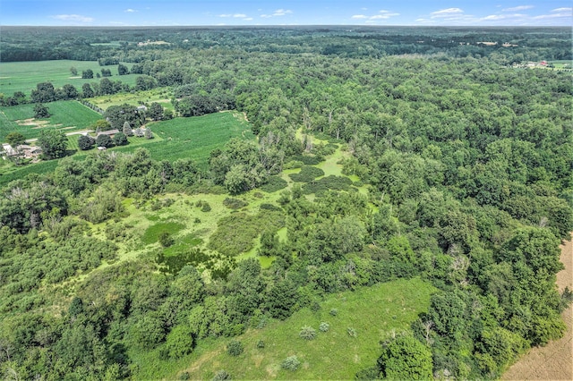 0 Maplegrove Rd, Jackson, MI 49201 - photo 3