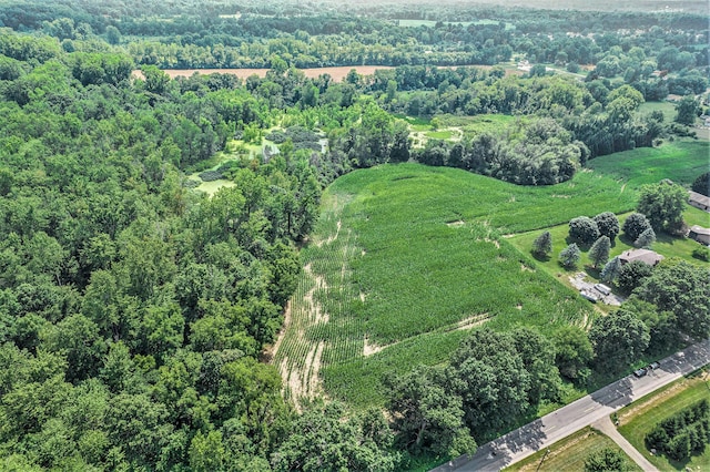 0 Maplegrove Rd, Jackson, MI 49201 - photo 4