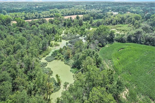 0 Maplegrove Rd, Jackson, MI 49201 - photo 5