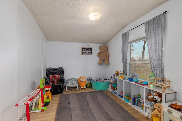 16788 David Ct, Mecosta, MI 49332 - playroom with wood finished floors and a textured ceiling