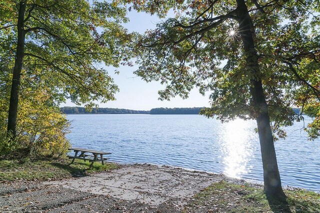 16788 David Ct, Mecosta, MI 49332 - property view of water