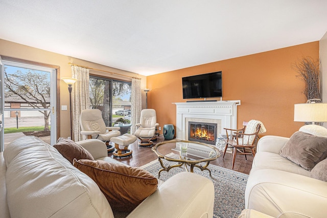 living area featuring a glass covered fireplace and wood finished floors