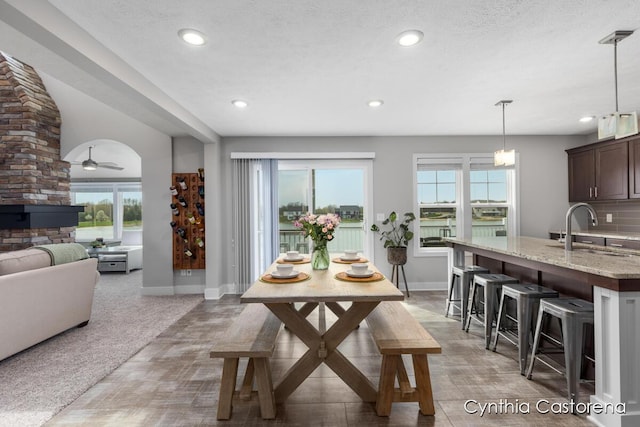 11325 Wake Dr, Allendale, MI 49401 - dining room featuring plenty of natural light, recessed lighting, baseboards, and ceiling fan