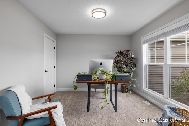 11325 Wake Dr, Allendale, MI 49401 - carpeted office featuring baseboards and visible vents