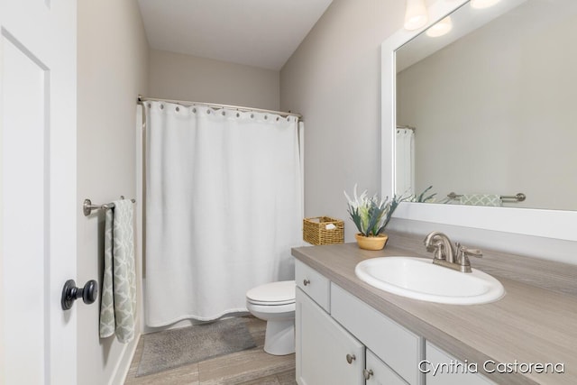 11325 Wake Dr, Allendale, MI 49401 - full bathroom featuring a shower with shower curtain, toilet, wood finished floors, and vanity