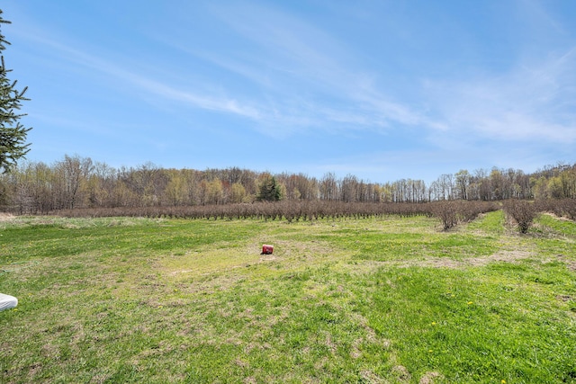 68345 42nd Ave, Covert, MI 49043