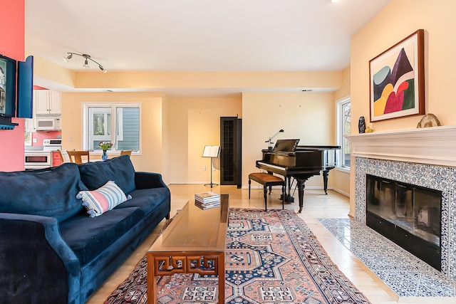 285 Mulholland Ave, Ann Arbor, MI 48103 - living room featuring a high end fireplace, light wood finished floors, rail lighting, and baseboards
