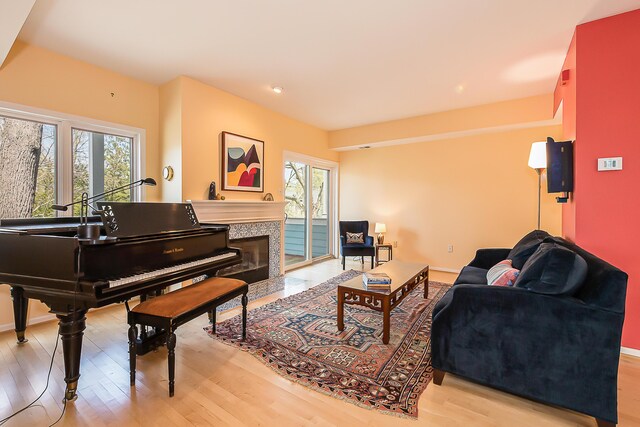 285 Mulholland Ave, Ann Arbor, MI 48103 - living room featuring a tile fireplace and light wood finished floors