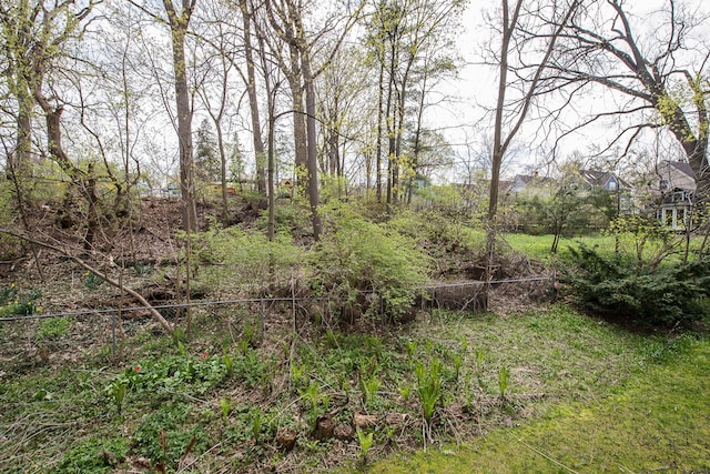 285 Mulholland Ave, Ann Arbor, MI 48103 - view of landscape