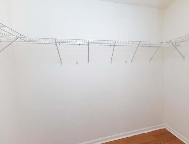 3126 Fairhaven Ct, Ann Arbor, MI 48105 - walk in closet featuring light wood-style floors
