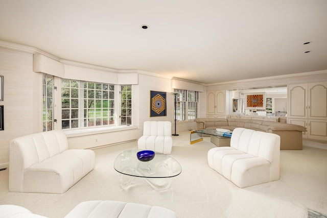 1060 Chestnut St, Ann Arbor, MI 48104 - living room featuring ornamental molding and carpet floors