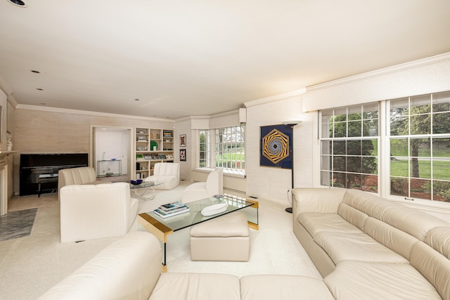 1060 Chestnut St, Ann Arbor, MI 48104 - living area with ornamental molding, built in shelves, and carpet floors