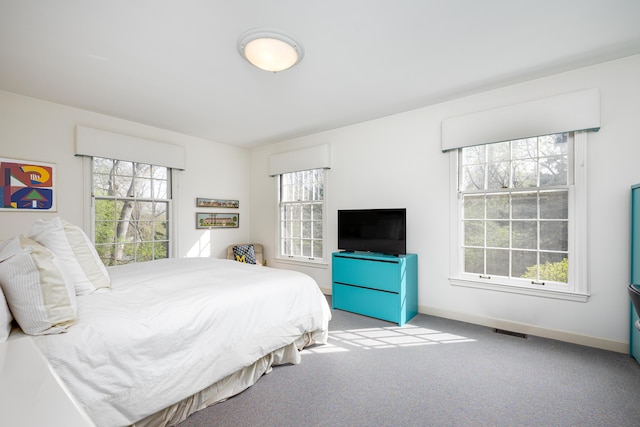 1060 Chestnut St, Ann Arbor, MI 48104 - carpeted bedroom with visible vents and baseboards