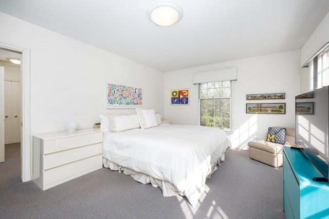 1060 Chestnut St, Ann Arbor, MI 48104 - bedroom with carpet
