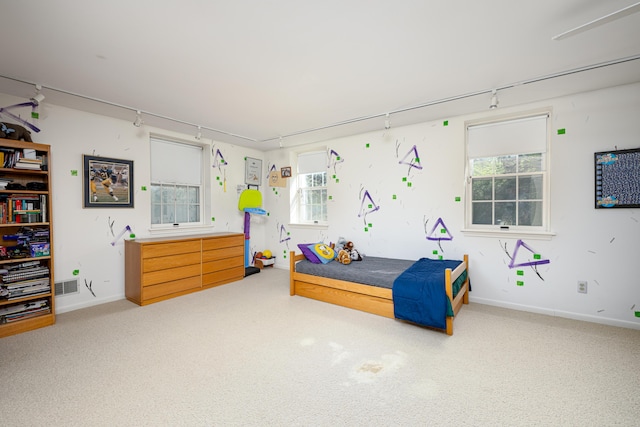 1060 Chestnut St, Ann Arbor, MI 48104 - carpeted bedroom featuring track lighting, multiple windows, and baseboards