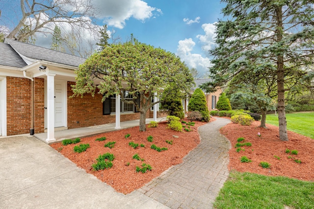 1060 Chestnut St, Ann Arbor, MI 48104 - view of front of property with covered porch, a shingled roof, and brick siding