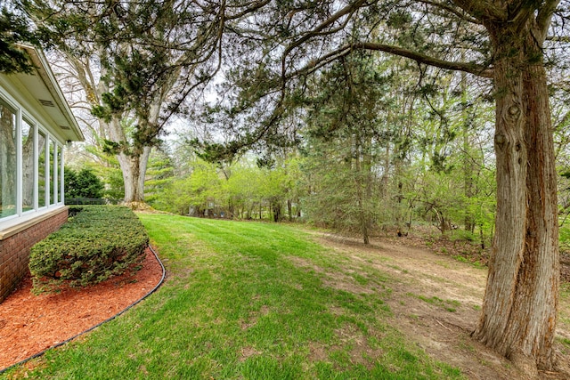 1060 Chestnut St, Ann Arbor, MI 48104 - view of yard