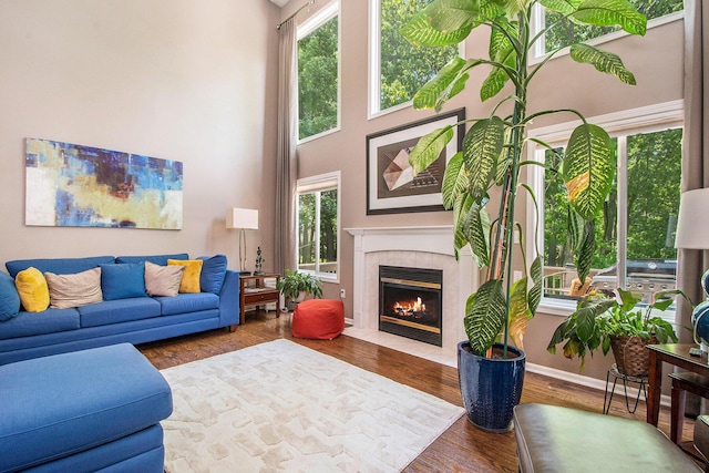 5591 E Grove Dr SE, Grand Rapids, MI 49512 - living area with a fireplace, a towering ceiling, and wood finished floors