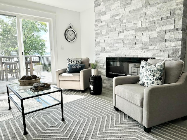 living area featuring wood finished floors and a fireplace