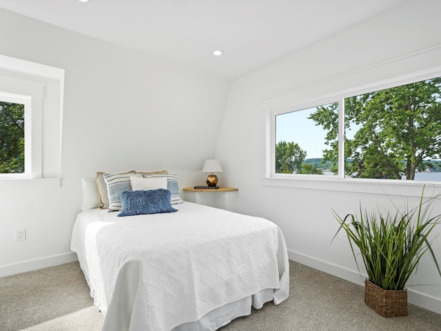 bedroom featuring carpet floors, baseboards, and multiple windows