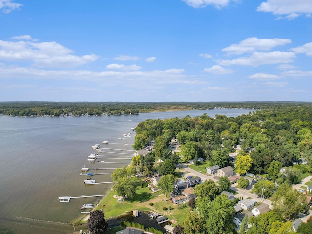 bird's eye view featuring a water view and a wooded view