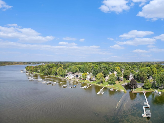 bird's eye view with a water view and a forest view