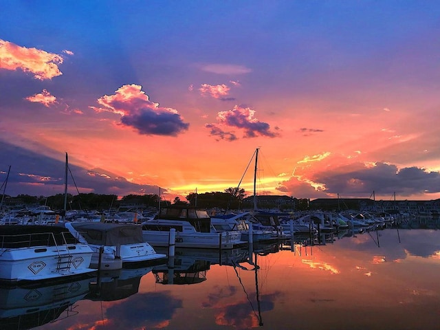221 N Townsend St, New Buffalo, MI 49117 - water view with a boat dock