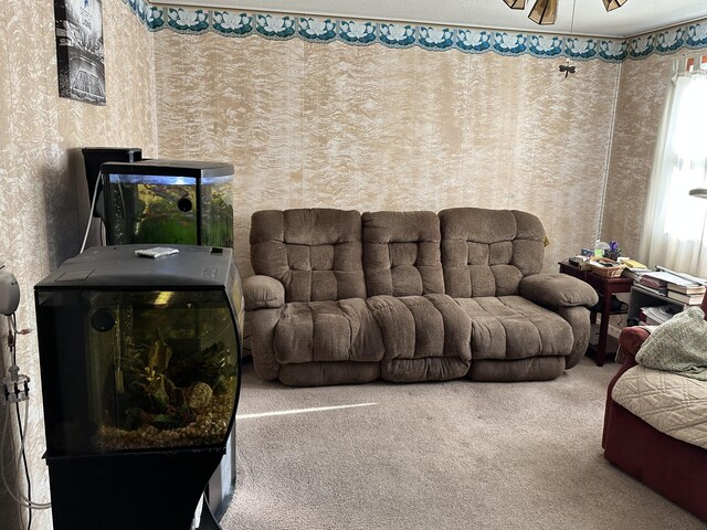 2080 N Mears St, Mears, MI 49436 - carpeted living area featuring ceiling fan