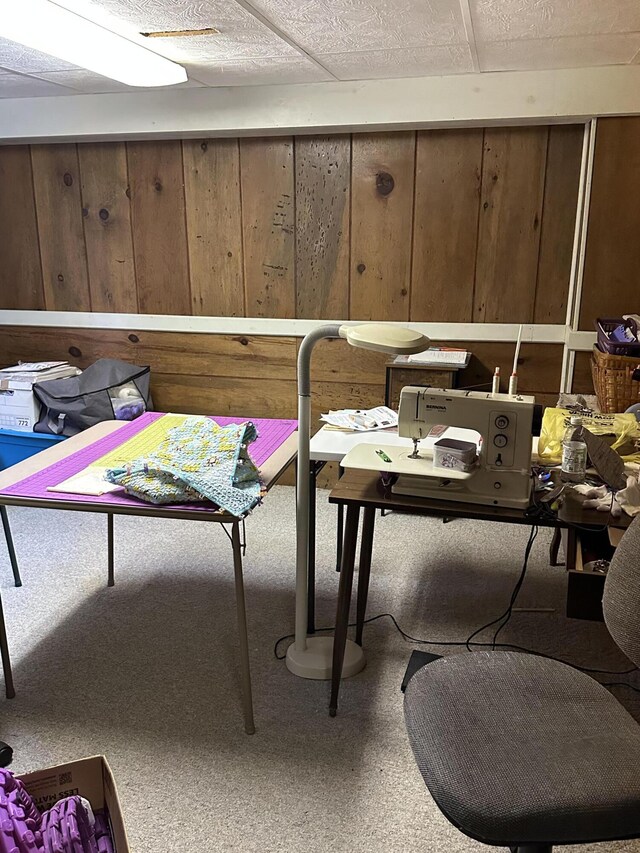 2080 N Mears St, Mears, MI 49436 - rec room featuring wooden walls