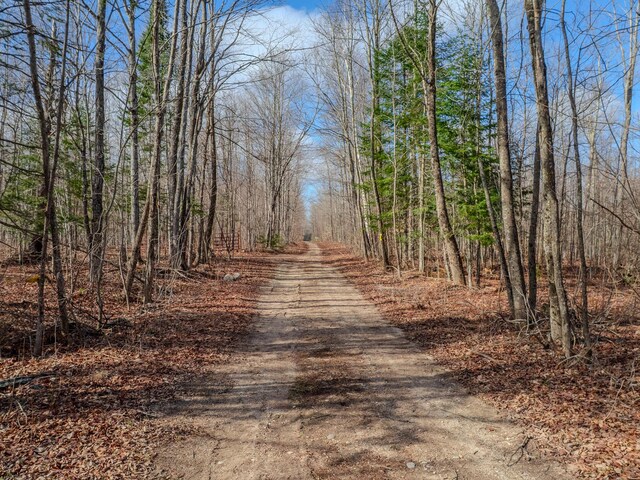 V/L Cooper Rd, Gulliver, MI 49840