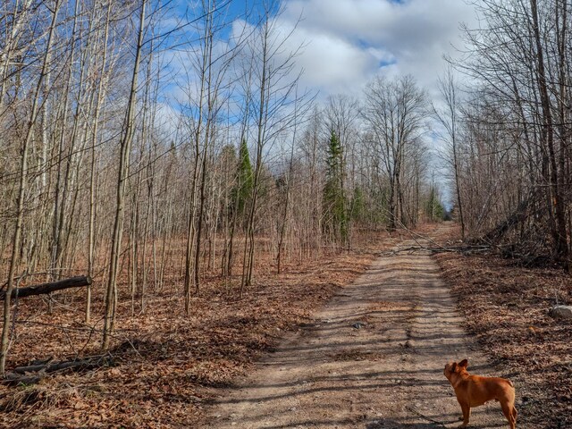 V/L Cooper Rd, Gulliver, MI 49840