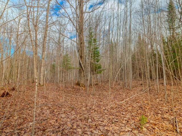 V/L Cooper Rd, Gulliver, MI 49840