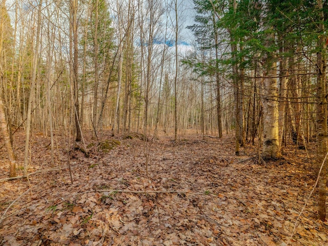 V/L Cooper Rd, Gulliver, MI 49840