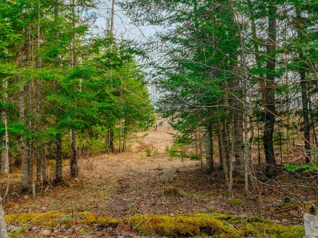 V/L Cooper Rd, Gulliver, MI 49840