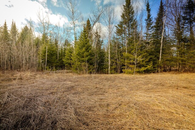 V/L Cooper Rd, Gulliver, MI 49840